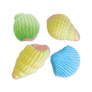 VIDAL KG.1,350 PZ.250 FOAM CONCHIGLIE
